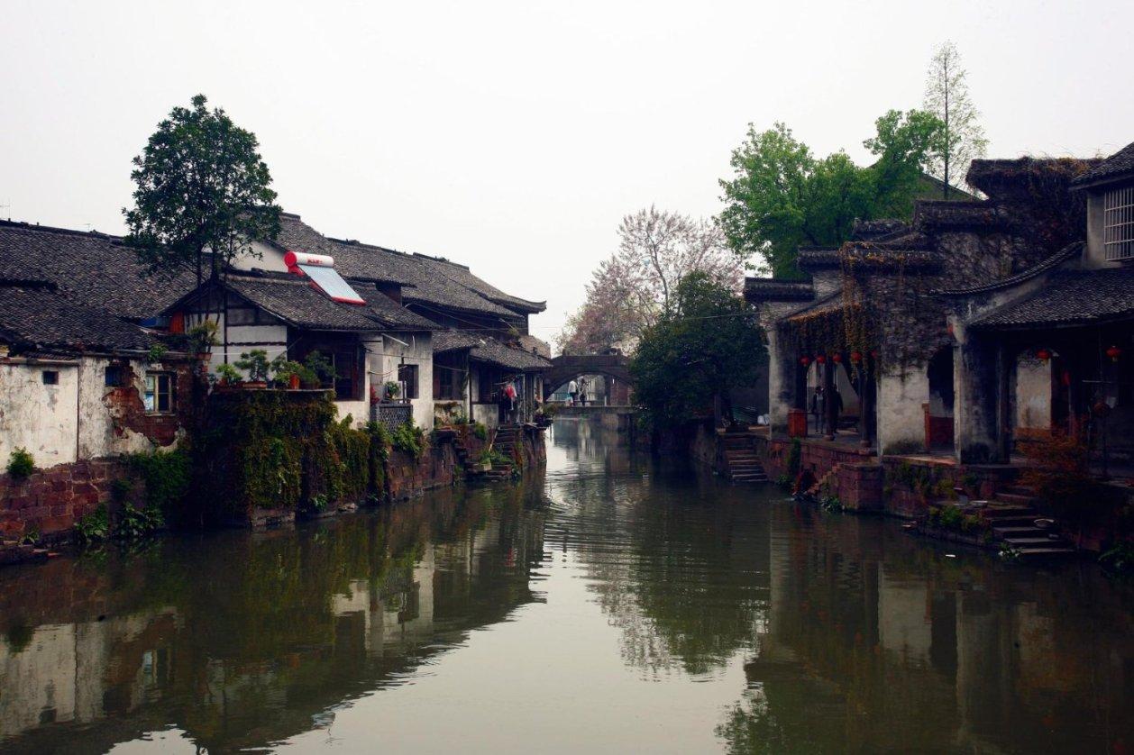 无休止的树